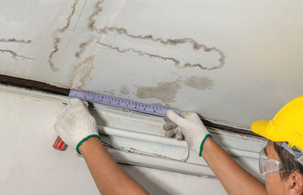 Reliable Water Damage contractor in Fairview, UT by Water Damage Irwin